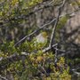Photo of Bosque Birdwatchers RV Park