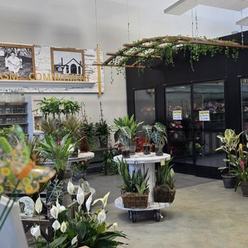 Oberer's Flowers - Florists Near Me - Carmel, Indiana Oberer's Flowers - Florists Near Me - Carmel, Indiana