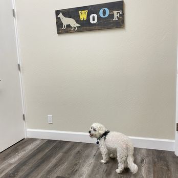 Center Veterinary Clinic - Veterinarians Near Me - Novato, California Center Veterinary Clinic - Veterinarians Near Me - Novato, California
