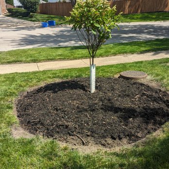 Nature Life Landscaping - After - Landscaping Near Me - Joliet, Illinois
