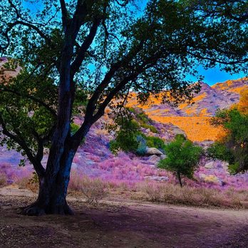 Corriganville Park - Dog Parks Near Me - Simi Valley, California