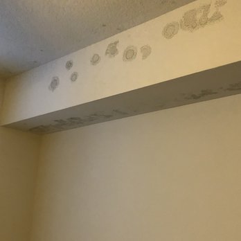 Casa Palma - Mold on bedroom ceiling - Apartments Near Me - Coconut Creek, Florida Casa Palma - Mold on bedroom ceiling - Apartments Near Me - Coconut Creek, Florida