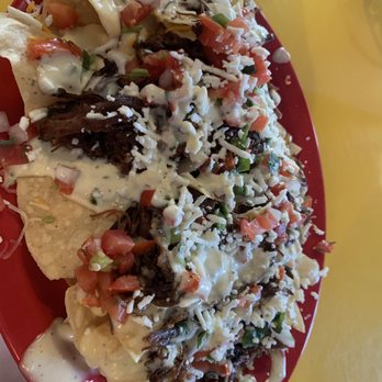 Fuzzy's Taco Shop - Shredded Brisket Nachos - Mexican Near Me - Sarasota, Florida Fuzzy's Taco Shop - Shredded Brisket Nachos - Mexican Near Me - Sarasota, Florida