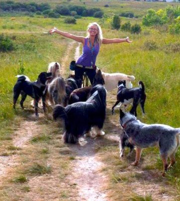 ramble on dog walking