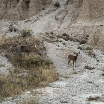 Badlands National Park - Parks Near Me - Interior, South Dakota Badlands National Park - Parks Near Me - Interior, South Dakota