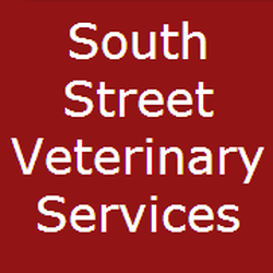 South St Veterinary Services