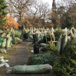 Pines and Needles - Dulwich