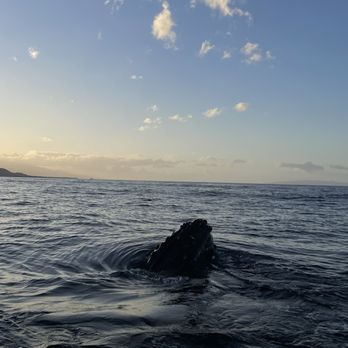 Hawaii Ocean Rafting - Boat Tours Near Me - Lahaina, Hawaii Hawaii Ocean Rafting - Boat Tours Near Me - Lahaina, Hawaii