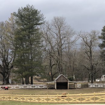Julep Farms - Farms Near Me - Dillard, Georgia