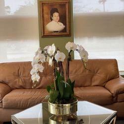 Gus Camacho Jr Funeral Home and Cremations