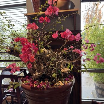 Lang Viet - Restaurant - interior - Vietnamese Near Me - Kent, Washington
