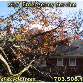 We Recycle Trees - Tree Services Near Me We Recycle Trees - Tree Services Near Me