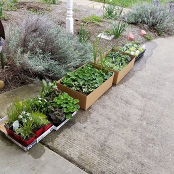 Evergrowin'greenhouses - My first "haul"! - Home & Garden Near Me - Bridgewater, Virginia