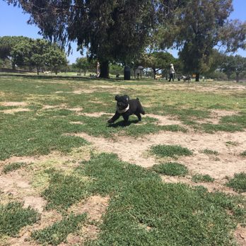 Arbor Dog Park - Dog Parks Near Me - Los Alamitos, California Arbor Dog Park - Dog Parks Near Me - Los Alamitos, California