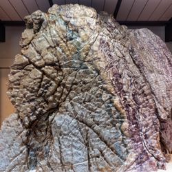 南蓮園池 - A rock inside the Rockery