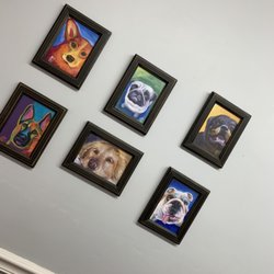Gaines School Animal Hospital - Exam Room 2 Art