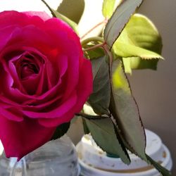 Lowe's Home Improvement - One of the roses broke off...it smells divine!