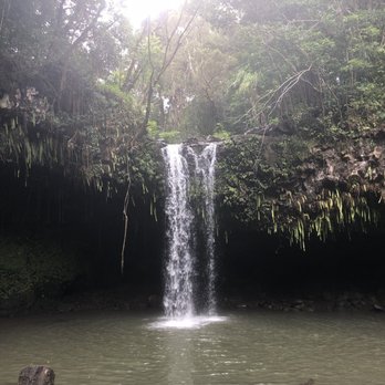 Hike Maui - Tours Near Me - Kahului, Hawaii