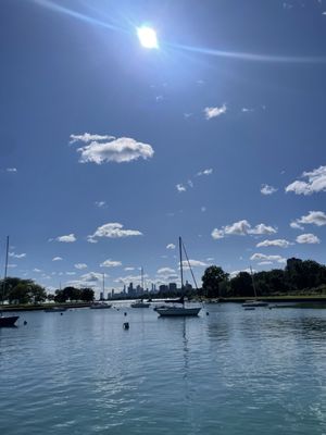 Montrose Point Bird Sanctuary by null