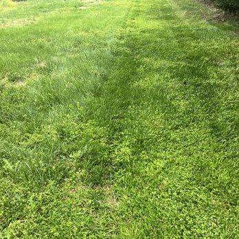 R Lawn care services - Lawn Services Near Me - Clover, South Carolina R Lawn care services - Lawn Services Near Me - Clover, South Carolina