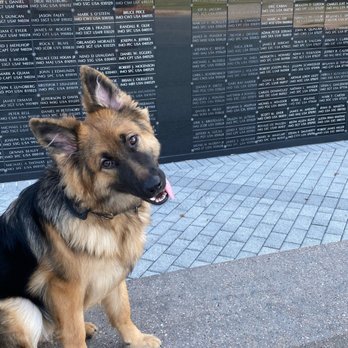 Cafe Soleil - My k9 outside the special operations memorial - Bakeries Near Me - St. Pete Beach, Florida
