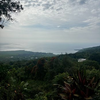 The Coffee Shack - View from our table on the deck - Coffee & Tea Near Me - Captain Cook, Hawaii