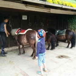 Ponyhof