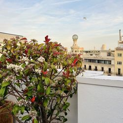 Pulitzer Barcelona - Rooftop bar