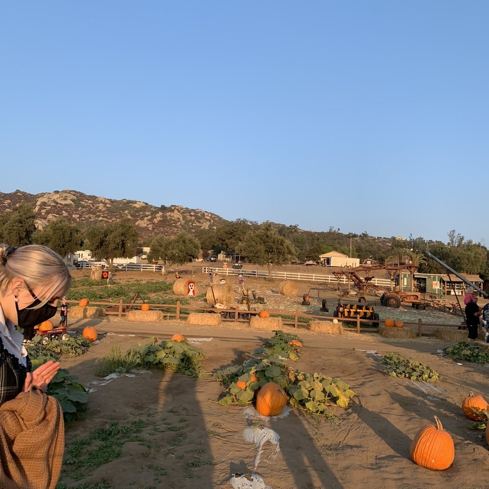 Mountain Valley Ranch - Pumpkin picking in the foreground and corn cannon targets in the back - Pumpkin Patches Near Me - Ramona, California Mountain Valley Ranch - Pumpkin picking in the foreground and corn cannon targets in the back - Pumpkin Patches Near Me - Ramona, California