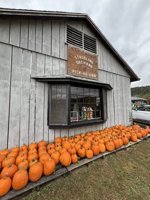 Stribling Orchard by null