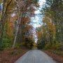 Photo of Green Mountain National Forest