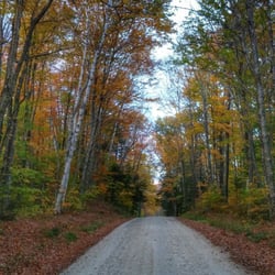 Green Mountain National Forest