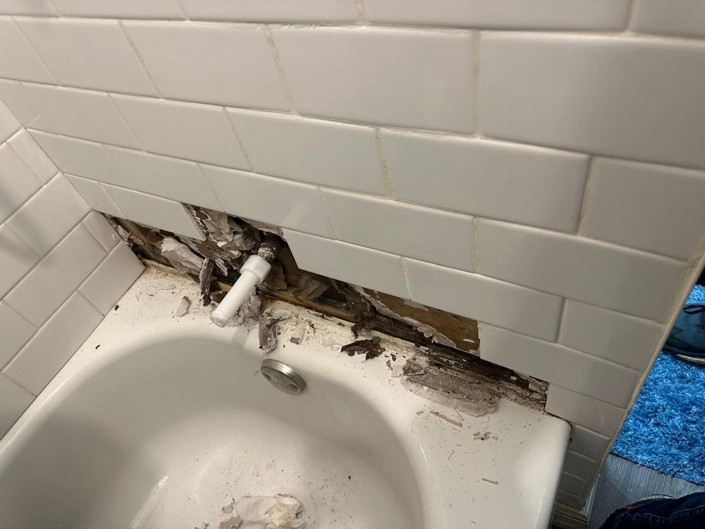 Slide of Patrick Handyman