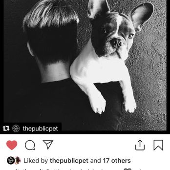 The Public Pet - Jordan (one of the owners) and our pup posing in the shop. Follow their Instagram (@thepublicpet) to track all the cool events! - Pet Stores Near Me - Honolulu, Hawaii The Public Pet - Jordan (one of the owners) and our pup posing in the shop. Follow their Instagram (@thepublicpet) to track all the cool events! - Pet Stores Near Me - Honolulu, Hawaii