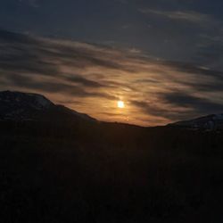 Denali Shuttle - Midnight sun.
