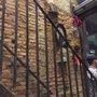 Photo of Foodstreet