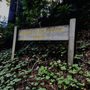 Photo of Tanbark Trail