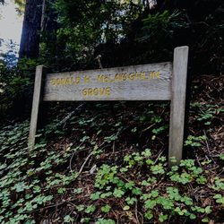 Tanbark Trail - At McLaughlin grove there is a steep climb