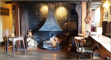 The Cat Inn by null