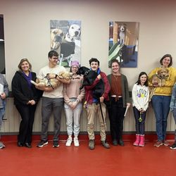 Dog Days of Buffalo - Cheektowaga - Puppy Kindergarten Training