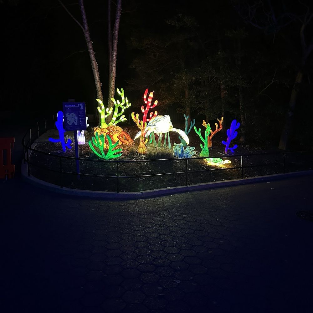ZooLights - Zoos Near Me - Washington, DC, District of Columbia