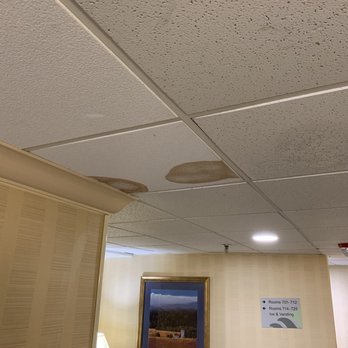 Wingate by Wyndham Springfield - Nice brown spots on the ceiling tiles. - Hotels Near Me - Springfield, Virginia