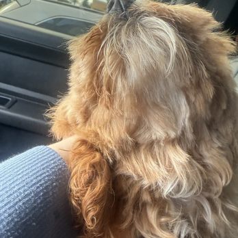 PetSmart - Pet Stores Near Me - Brea, California