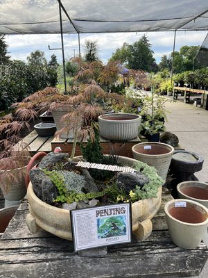 Portland Nursery by null