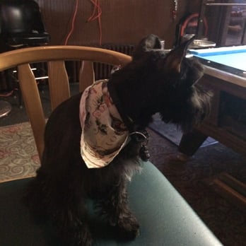 Salon Dog - Pet Groomers Near Me - Chicago, Illinois Salon Dog - Pet Groomers Near Me - Chicago, Illinois