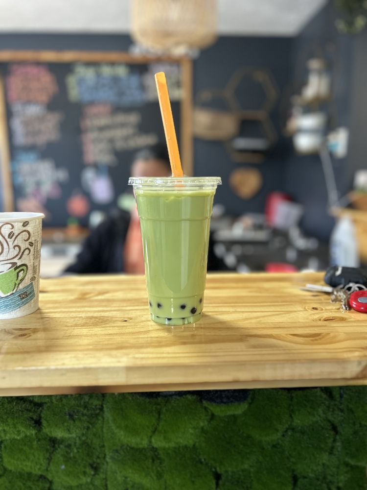 PLATANITO Updated September 2024 1388 Alexandria Dr, Lexington