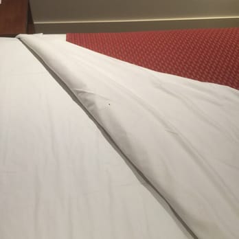 The Victoria Hotel - More of the brown stuff, a larger piece is clearly visible here. - Hotels Near Me - Melbourne, VIC