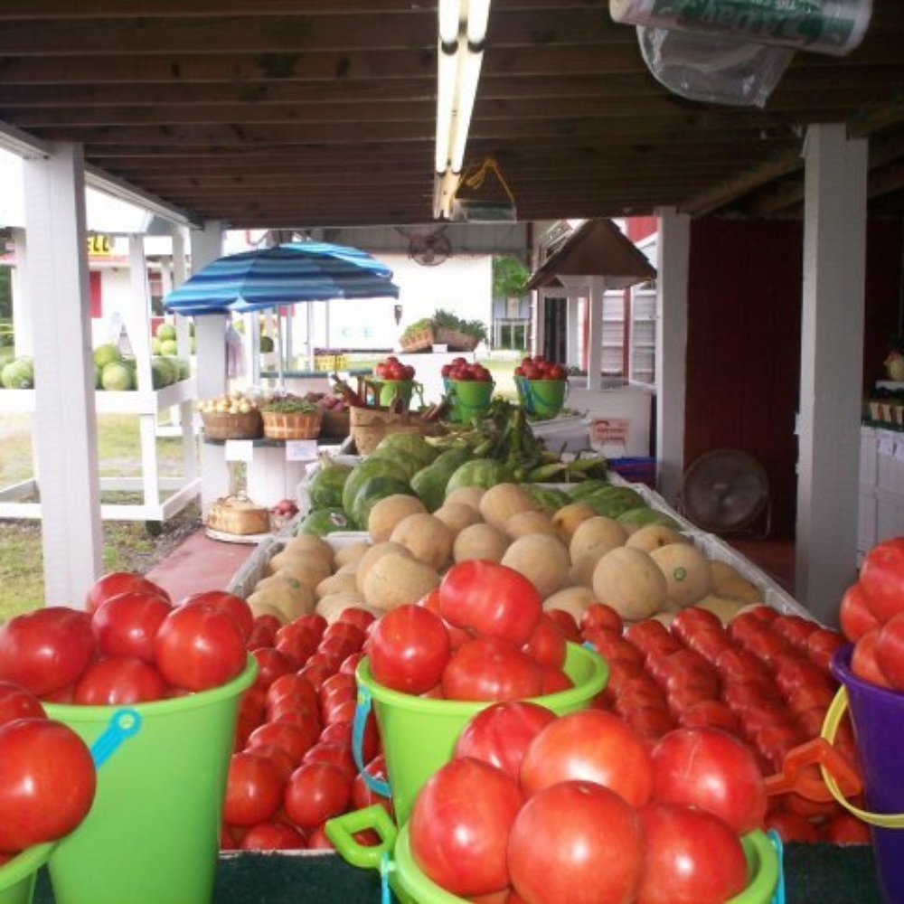 Powell's Roadside Market - photo credit: www.powellsroadsidemarket.com - Farmers Market Near Me - Moyock, North Carolina Powell's Roadside Market - photo credit: www.powellsroadsidemarket.com - Farmers Market Near Me - Moyock, North Carolina