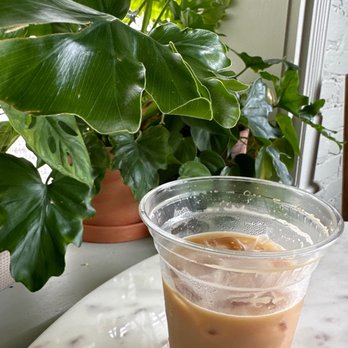 Meadowlark Coffee - Iced bloom latte - Coffee & Tea Near Me - Gainesville, Georgia