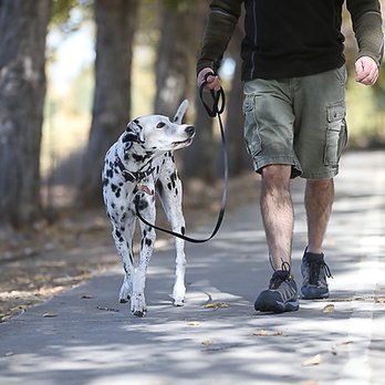 Crate Escape Livermore - Dog Walkers Near Me Crate Escape Livermore - Dog Walkers Near Me